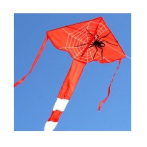 Spider Delta Kite