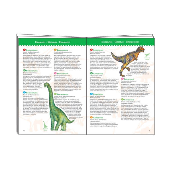 Djeco Observation Puzzle Dinosaurs Booklet