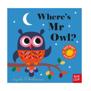 Where's Mr Owl?